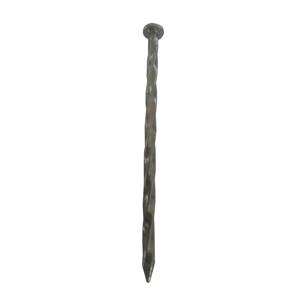 169504.jpg