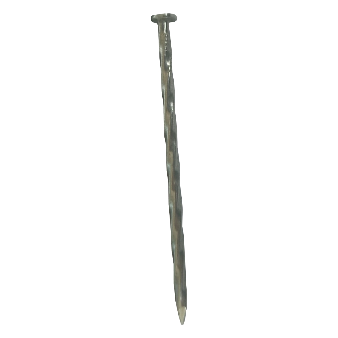 169506.jpg