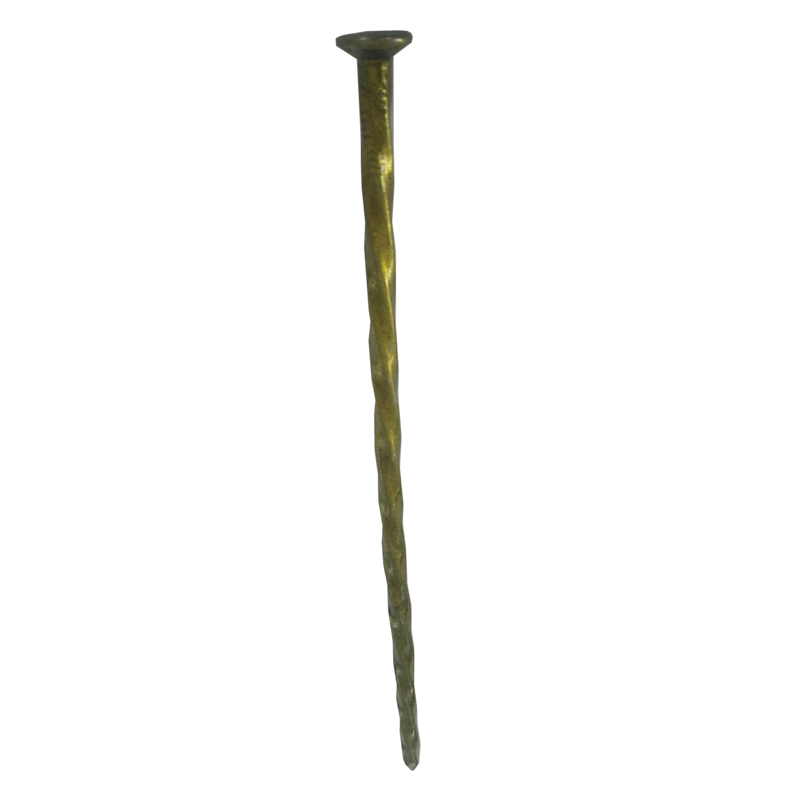 169511.jpg