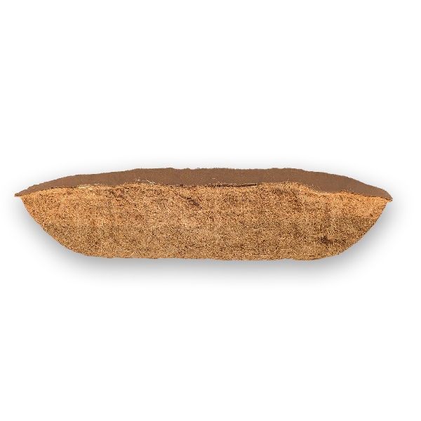 184419.jpg