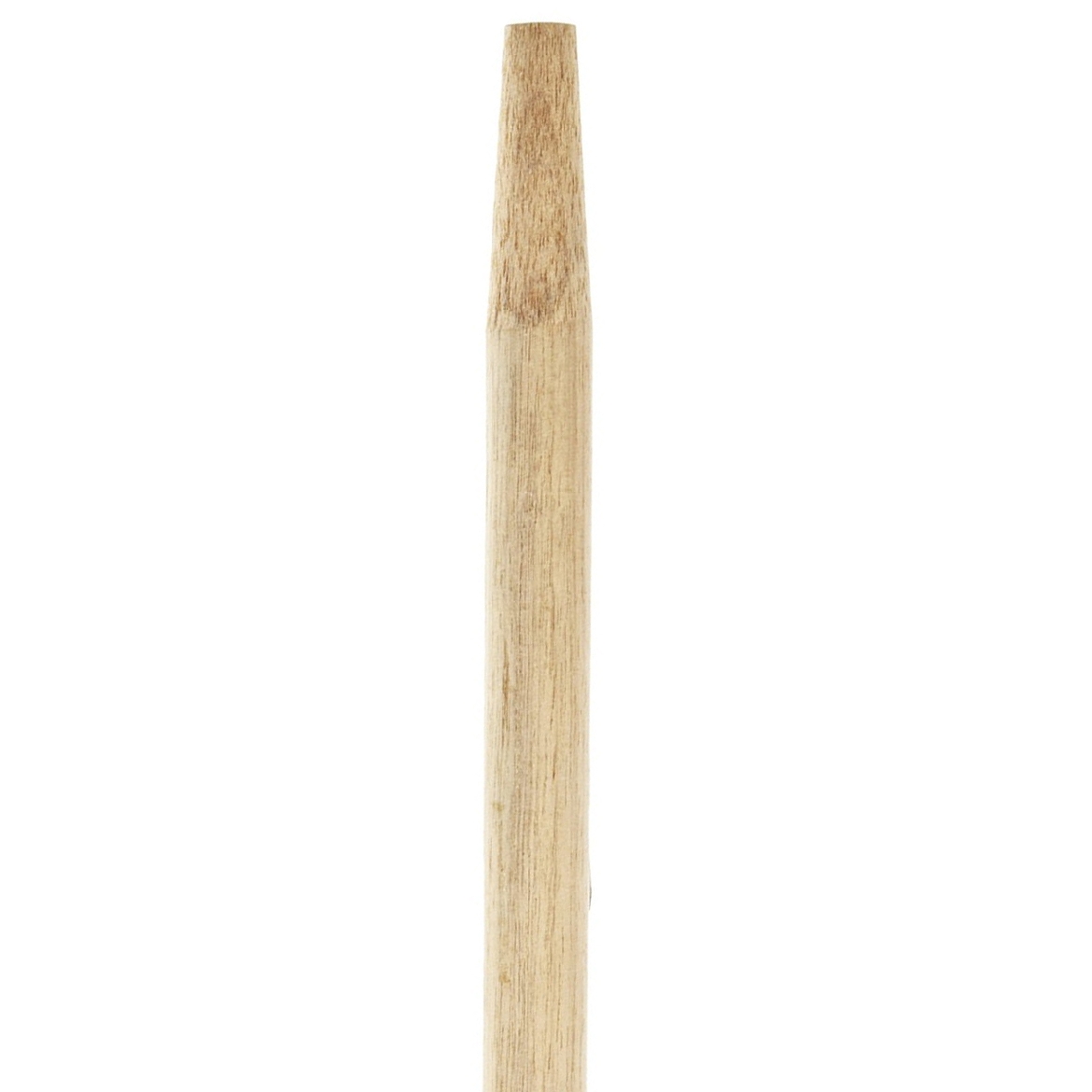 203543.jpg