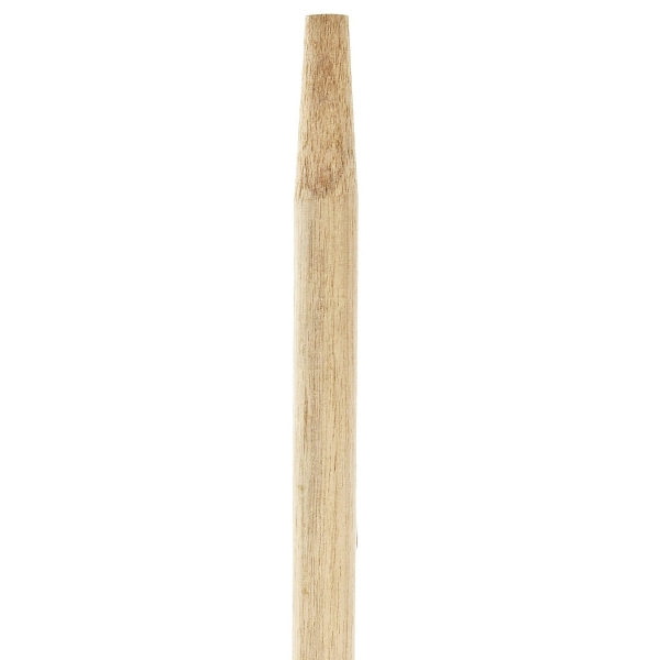 203543.jpg