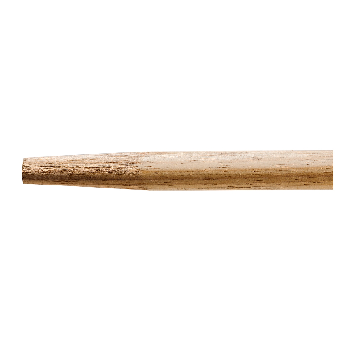 203603.jpg