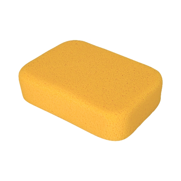 500051.jpg