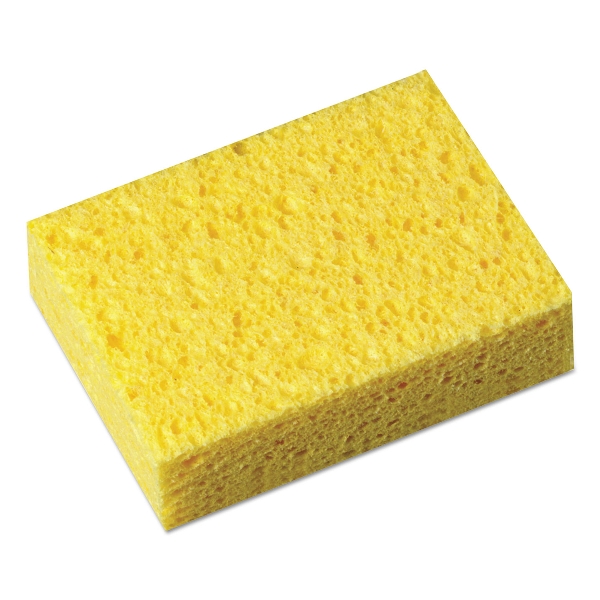 503015.jpg