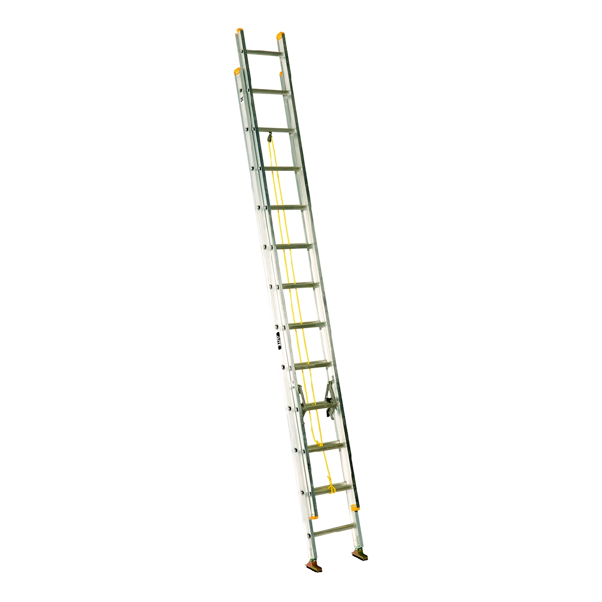 505024.jpg