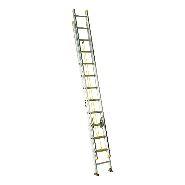 505024.jpg