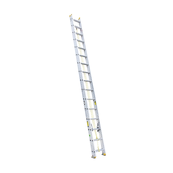 505032.jpg