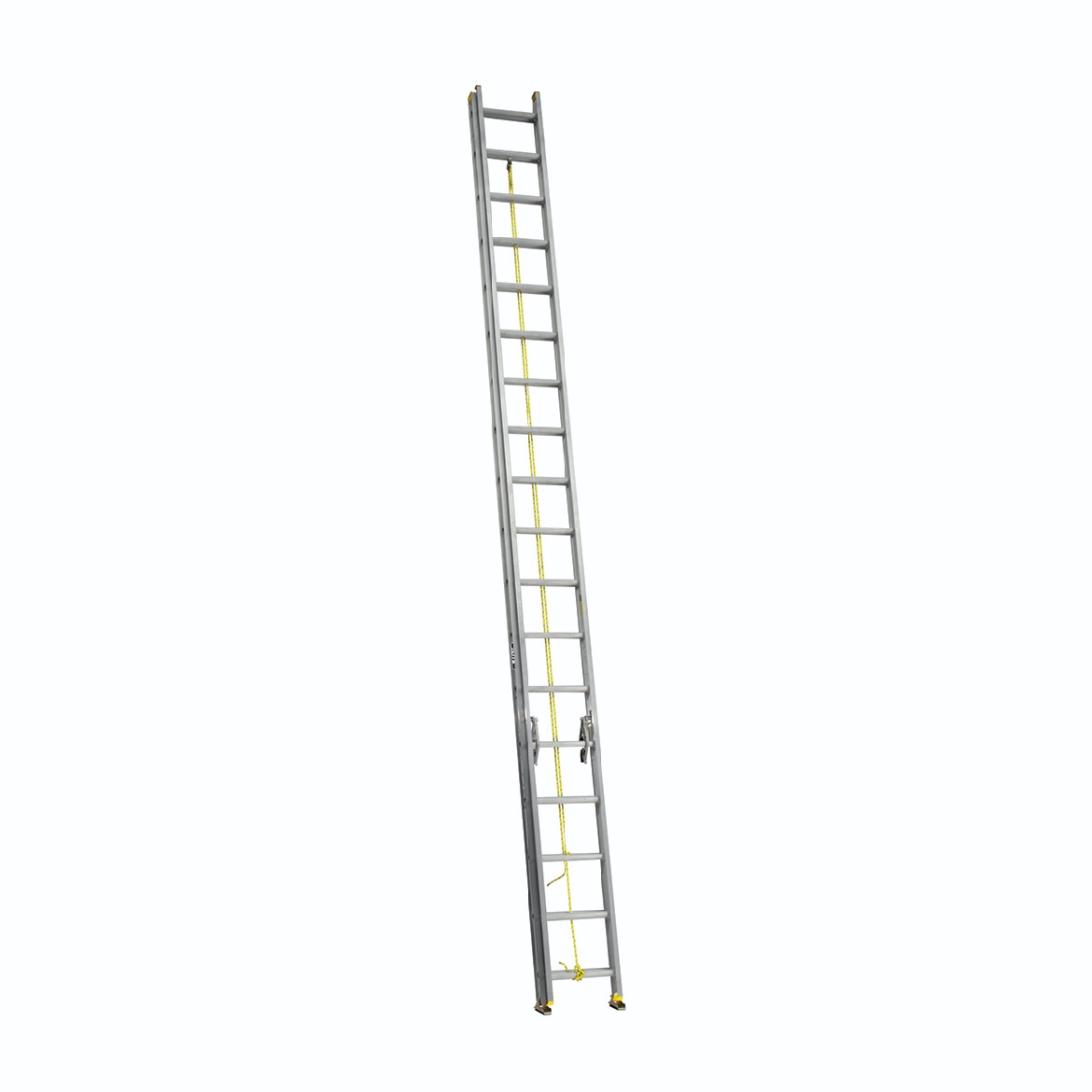 505036.jpg