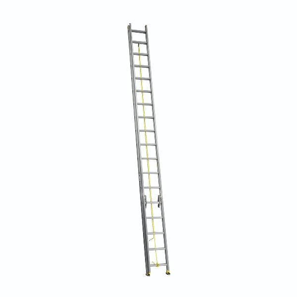 505036.jpg