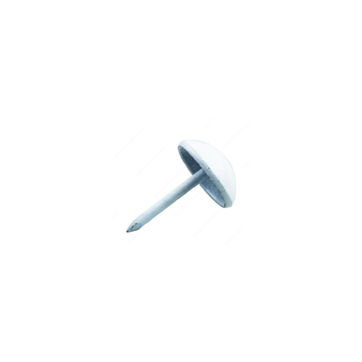 580527.jpg