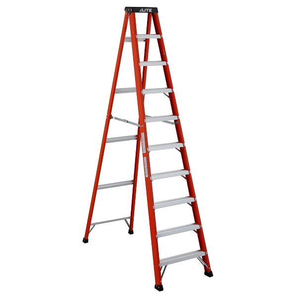 591297.jpg