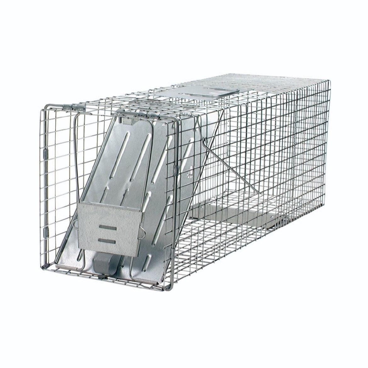 88001078.jpg
