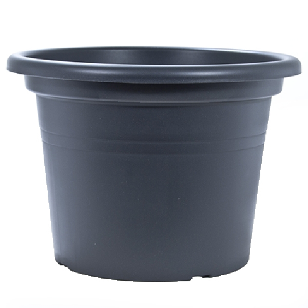 88015850.jpg