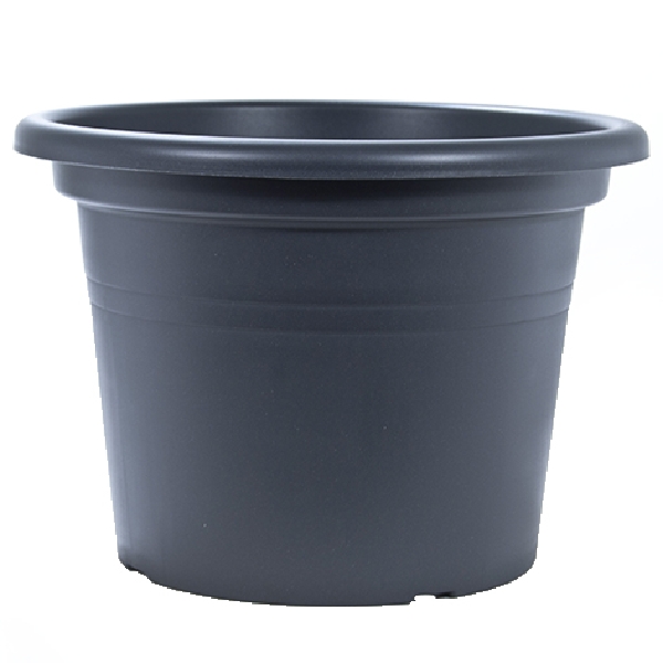 88015851.jpg