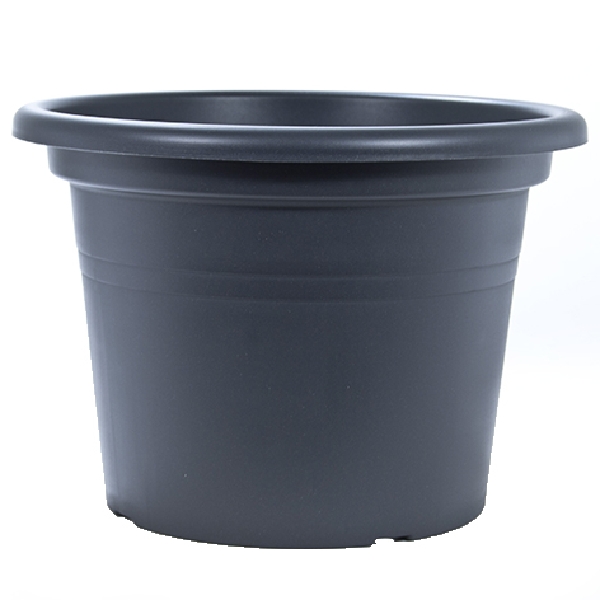 88015852.jpg