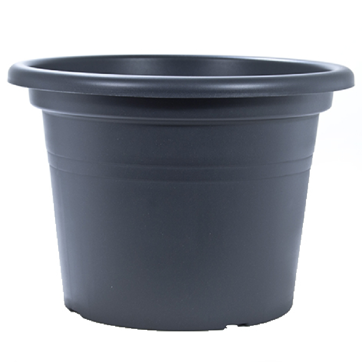 88015853.jpg