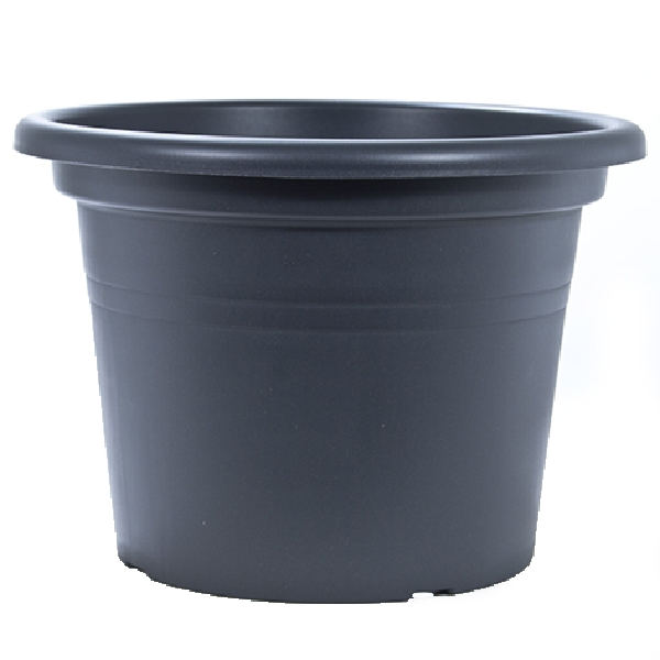 88015854.jpg