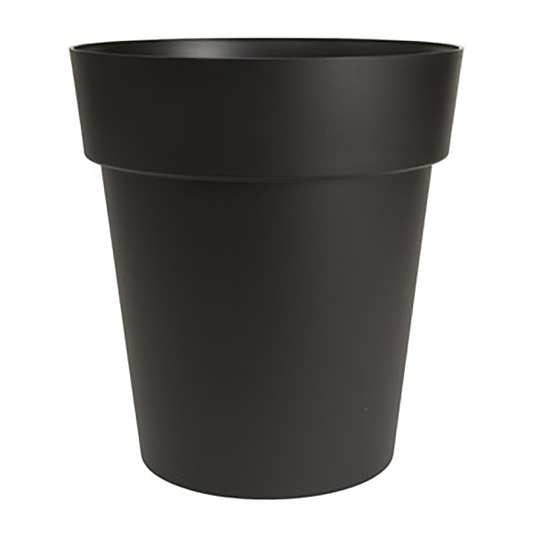 88017076.jpg