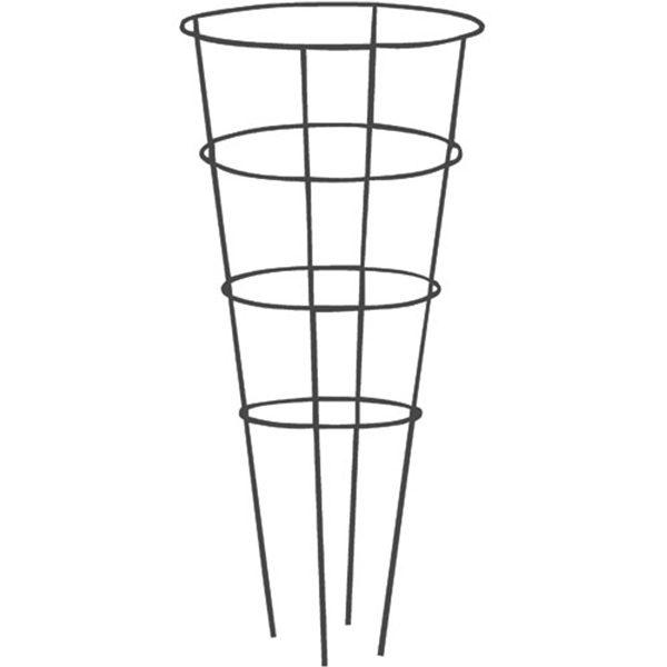 88050050.jpg
