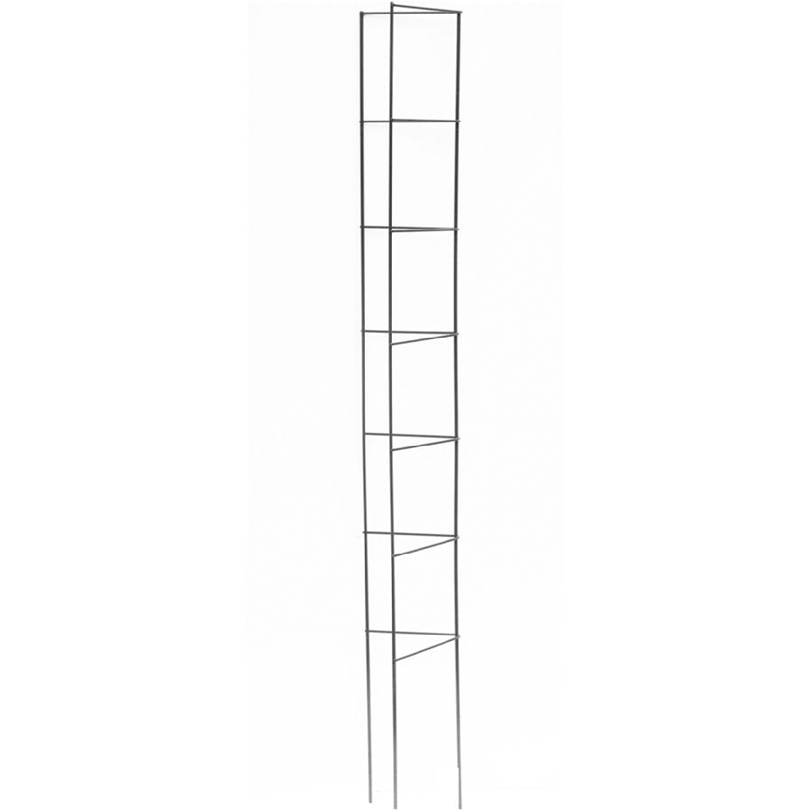 88050112.jpg