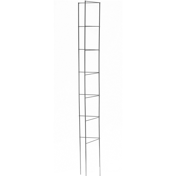 88050112.jpg
