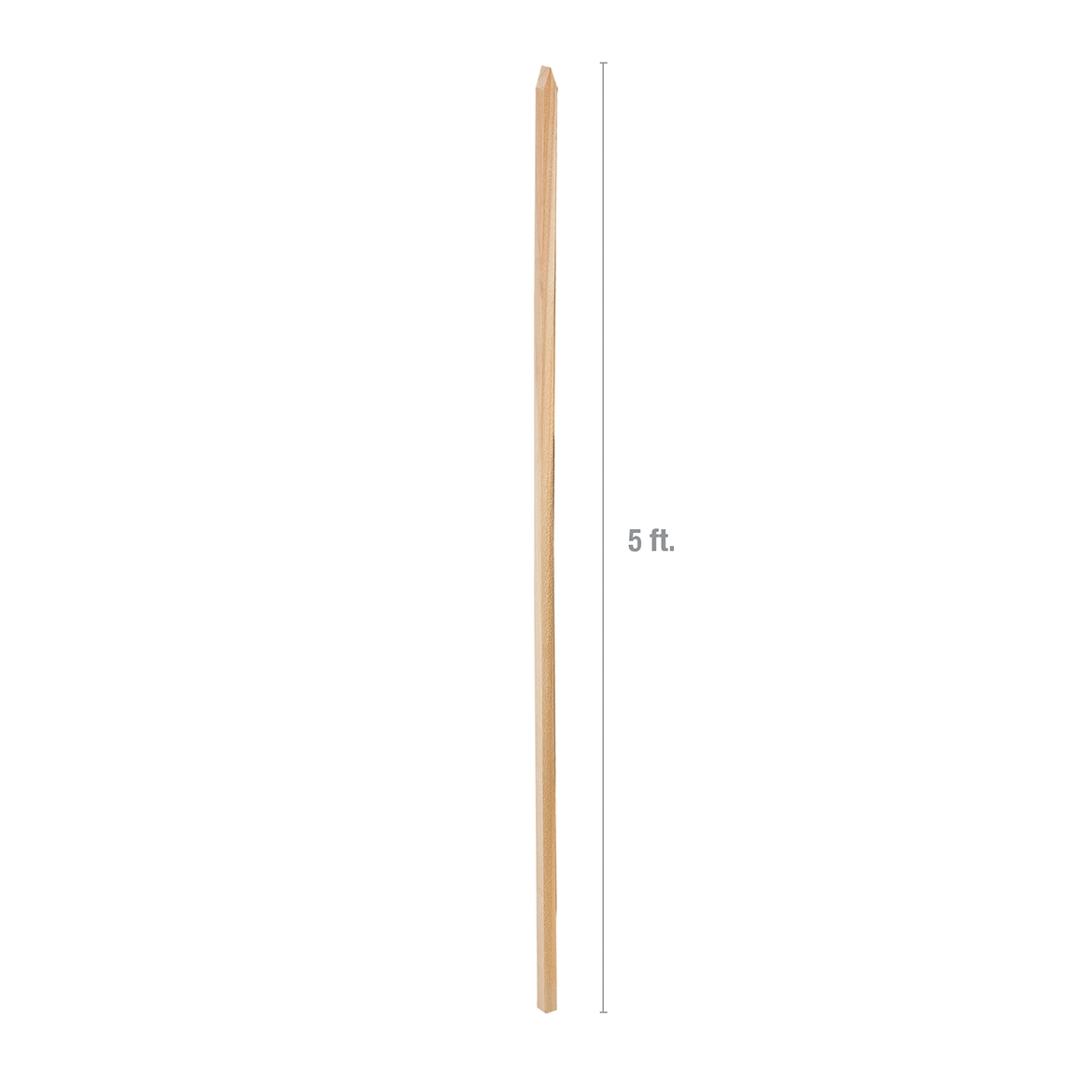 88084157.jpg
