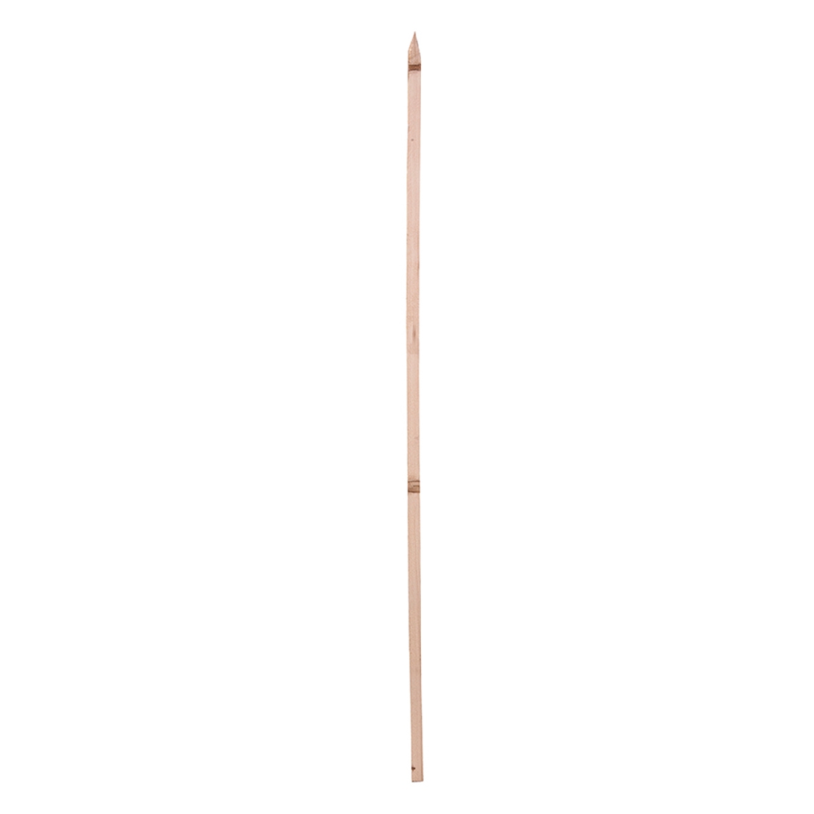 88089961.jpg