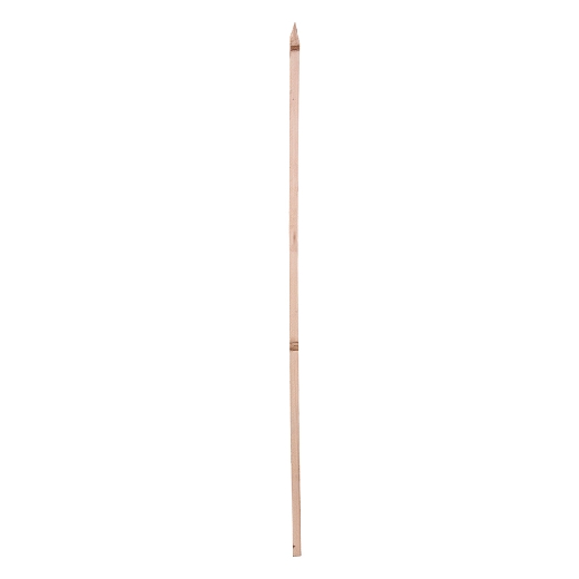 88089961.jpg