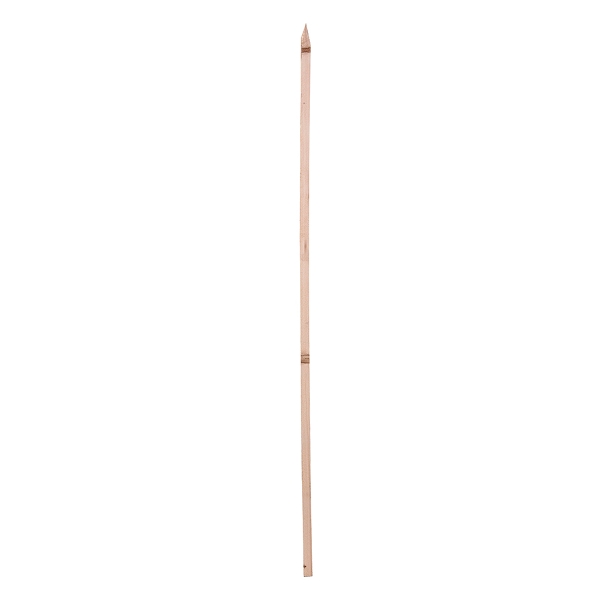 88089961.jpg
