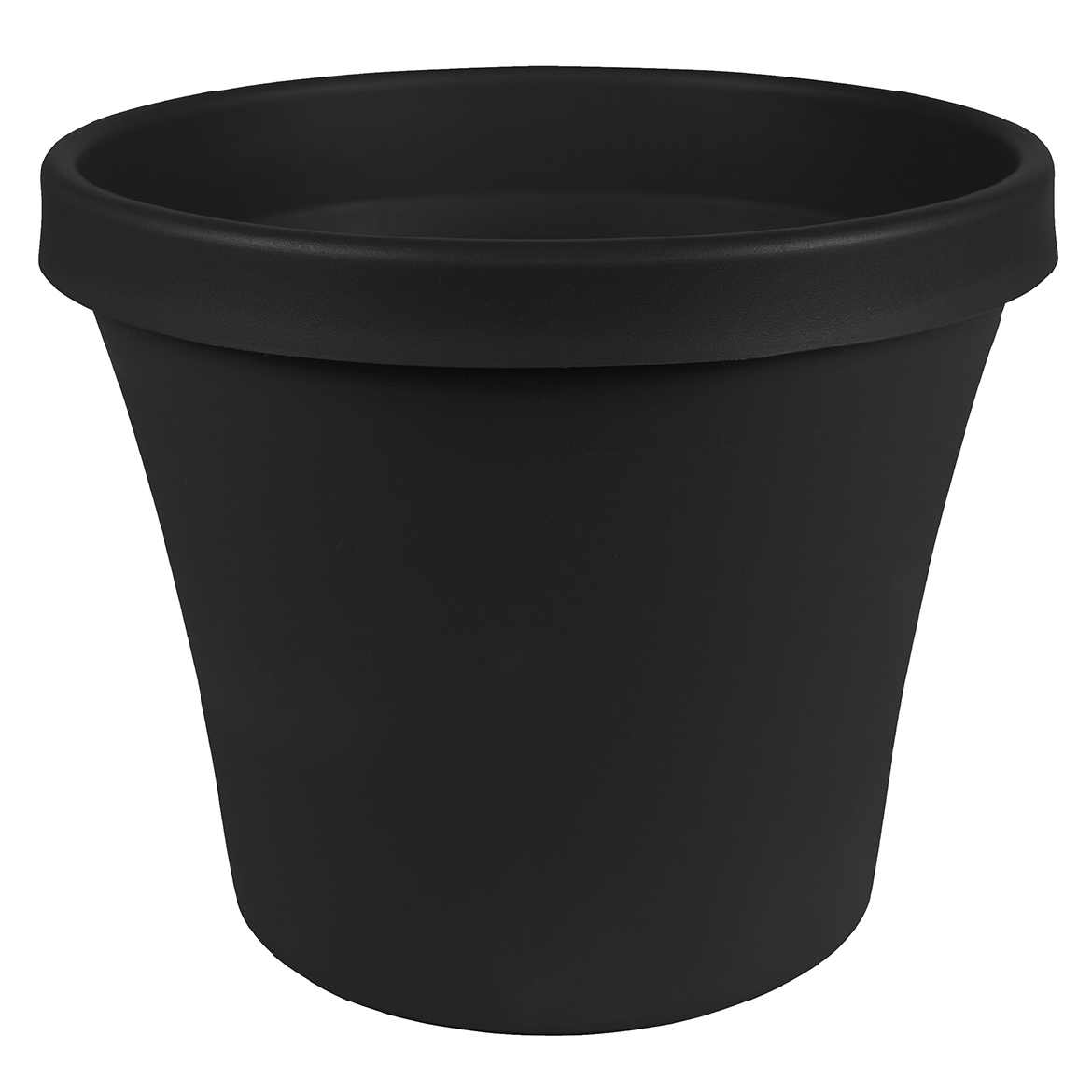 88200091.jpg