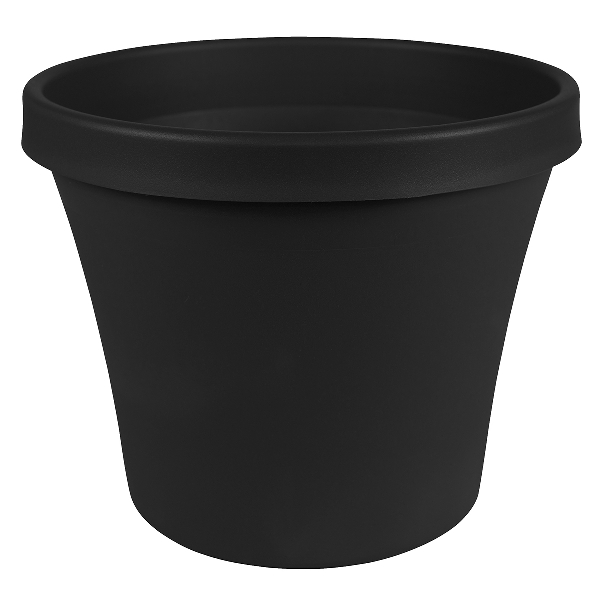 88200091.jpg