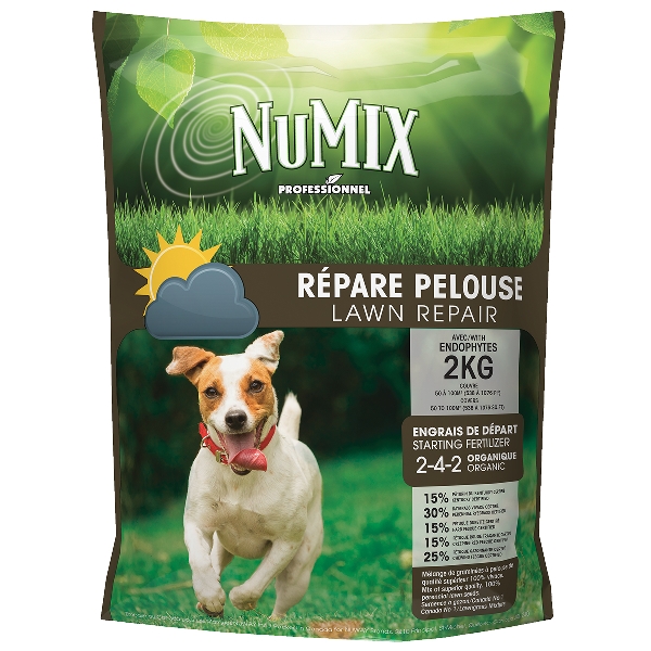 NMXRPx2.jpg