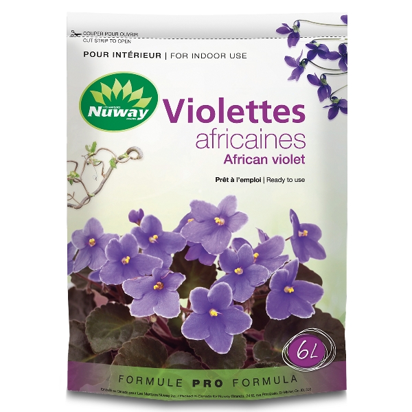 NTVIOLETx6.jpg