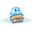 Picture for manufacturer Scrubbing Bubbles