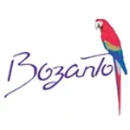 Picture for manufacturer Bozanto