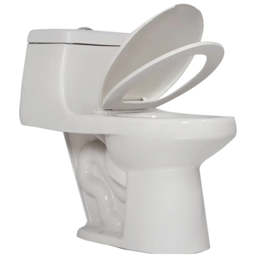Picture of 1-Piece Toilet Dual Flush Elongated-Front 4.8L/6L White