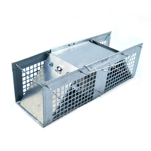 Picture of 2-Door Mouse Trap 10in x 3.25in x 3in