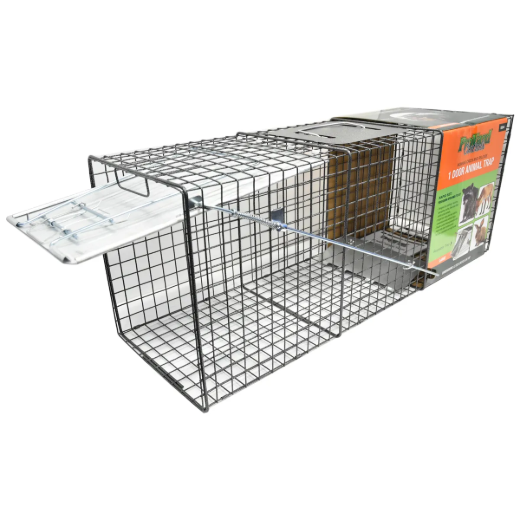 Picture of 1-Door Animal Trap (L) 32in x 12in x 10in