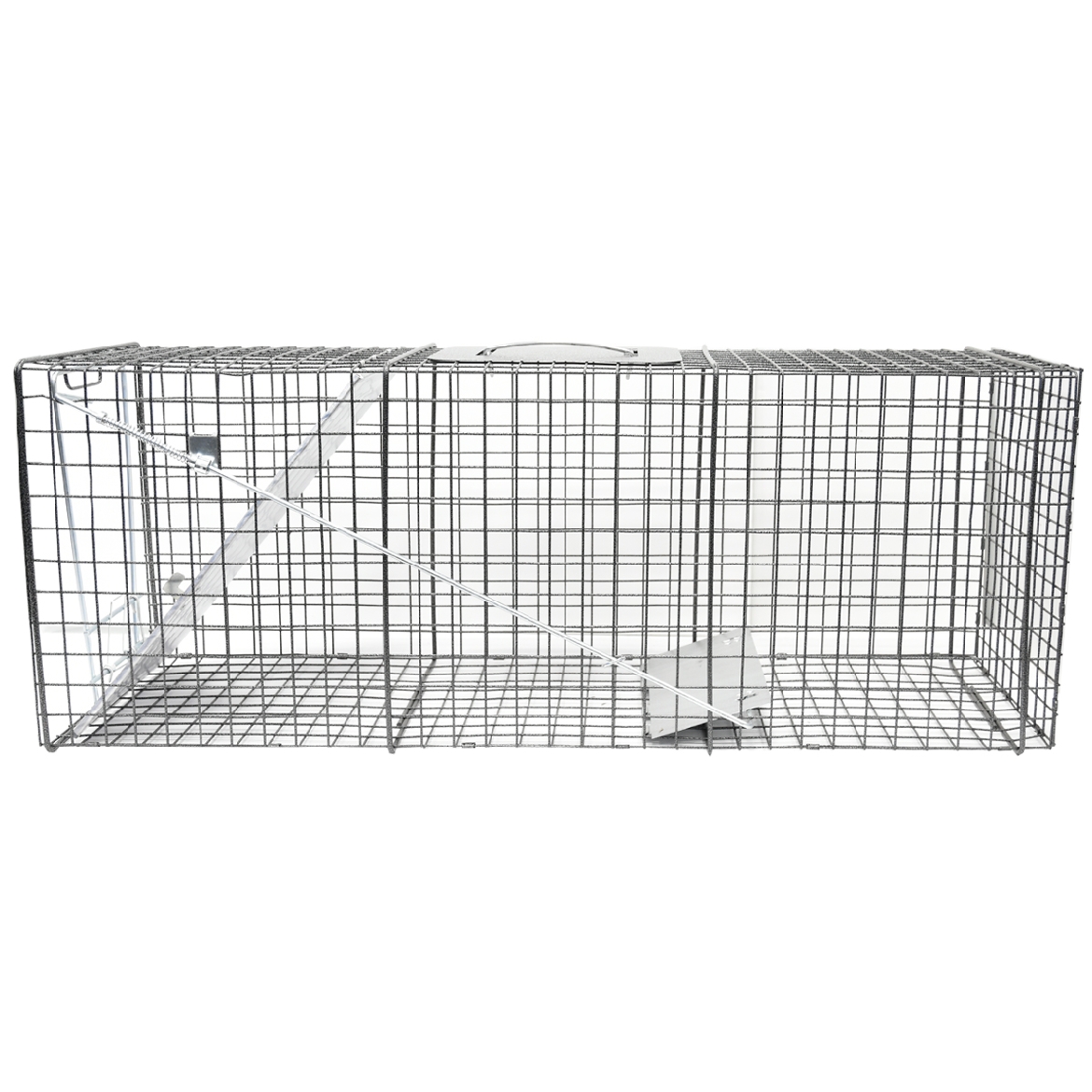 Picture of 1-Door Animal Trap (L) 32in x 12in x 10in