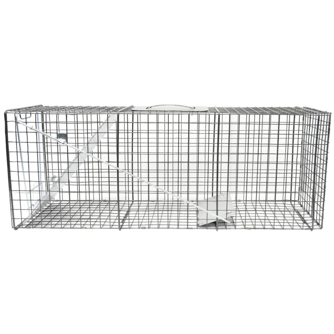 Picture of 1-Door Animal Trap (L) 32in x 12in x 10in