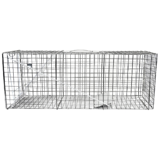 Picture of 1-Door Animal Trap (L) 32in x 12in x 10in