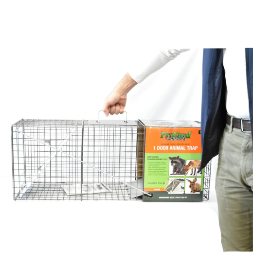 Picture of 1-Door Animal Trap (L) 32in x 12in x 10in