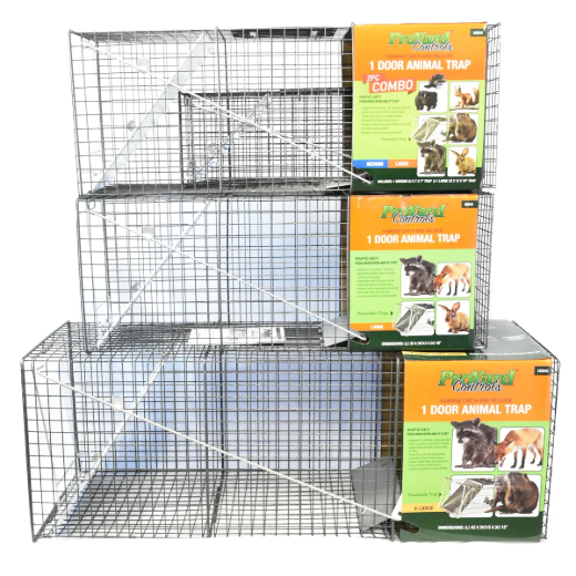 Picture of 1-Door Animal Trap (L) 32in x 12in x 10in
