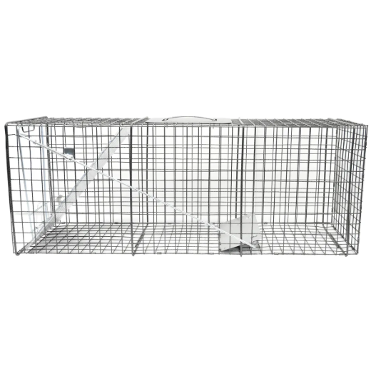 Picture of 1-Door Animal Trap (XL) 42in x 15in x 15in
