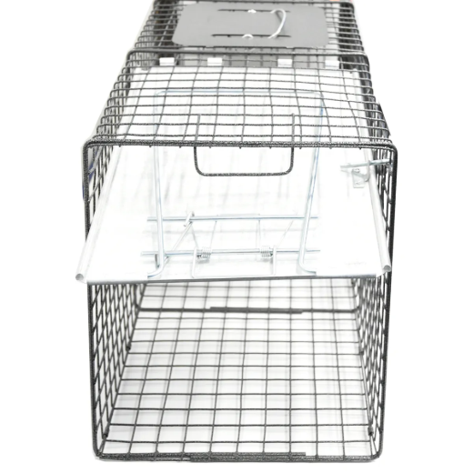 Picture of 1-Door Animal Trap (XL) 42in x 15in x 15in
