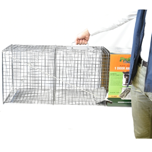 Picture of 1-Door Animal Trap (XL) 42in x 15in x 15in