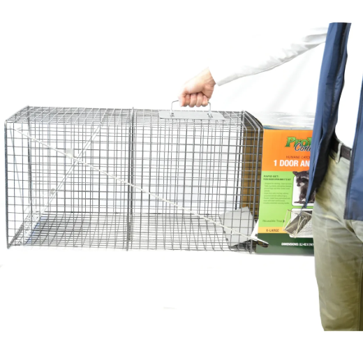 Picture of 1-Door Animal Trap (XL) 42in x 15in x 15in
