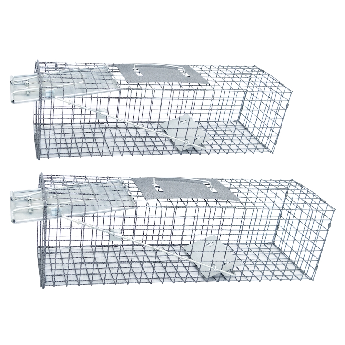 Picture of 2PC 1-Door Animal Trap Set (M) 24in x 7in x 7in & (L) 32in x 12in x 10in