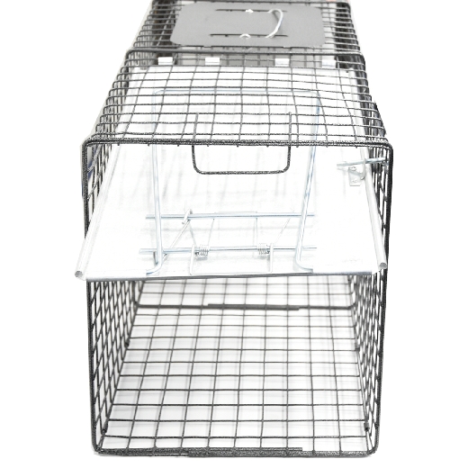 Picture of 2PC 1-Door Animal Trap Set (M) 24in x 7in x 7in & (L) 32in x 12in x 10in